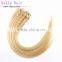 Virgin Remy Human Hair Straight Micro Loop Ring Hair Extension