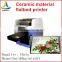 Best Quality Ceramic Material Flatbed UV Printer (0086-15221974946)