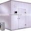 Standard Modular cold room with painted galvanized steel material