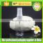 Plastic PET empty spray bottle or snap bottle for cosmetic
