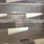 High Efficient Large Scale Paintball encapsulation Production Line S610PB