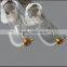 2000mmCO2 laser tube warranty for the three months up to 180w of power
