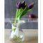 Zibo glasslucky hotsale small clear glass vase wholesale glass vases for decoration