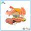 Chicken leg Squeaky chew pet toy
