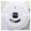 WC31701 automatic calender wall clock/selling well all over the world