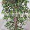 2016 Artificial Green ficus tree plant /beautiful green ficus/factory Artificial ficus wholesale