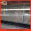battery pullet rearing cage poultry equipment