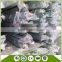 SS 316 Stainless Steel Tube ASTM 304 310S Stainless Steel Pipe