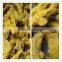 China Natural Tumeric Finger