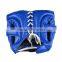 winning nose bar head guards