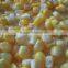 New crop Canned Sweet Corn Kernel