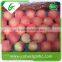 Best quality Chinese fresh gala apple fruit