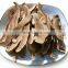 GMP Certified Manufacturer Supply Ganoderma Extract