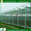 Latest design cooling systems stable structure vegetables greenhouse glass