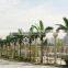 Chinese fake coconut tree decoration hotle manufacture longlife time artificial outdoor palm trees