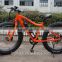 48V 750W big power electric fat tire bicycle ATV ebike mountain bike