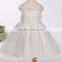 2017 Sleeveless net yarn princess dress lace children's dress flower dress wedding dress