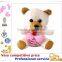 OEM Stuffed Toy,Custom Plush Toys, plush bear with red heart
