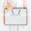 Best Selling Custom Design Shopping Bags Logo Printed Bags Luxury Custom Paper