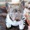 2021 New Wholesale Luxury Designer Outfits Supplies Apparel Pet Dress Dog Clothes