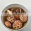 organic dried shiitake mushroom for cooking/High Quality Flower Mushroom/Best Prices Dried Shiitake Mushroom from Vietnam