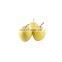 Sciyu supply fruit powder pear powder