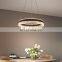 New LED Pendant Lights Postmodern Minimalist Ceiling Circle Hanging Lamp For Dining Room Bedroom Hall Hollow Chandelier