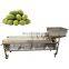 Fruit Blueberry Dates Weight Sorting Machine Fruit Weight Sorting Machine