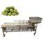 Fruit Vegetable Sorter Potato Small Tomato Grading Production Line Olive Grade Sorting Machine Price