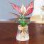 Hot Selling Christmas Gift Plastic Pots Hydroponics Planter Plant Plants Planters Indoor Self Watering Transparent Flower Pot