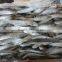 Frozen Sardine From Chinese Manufacture 160 Pcs