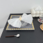 Clear Plastic Square Charger Plates With Gold Beaded Rims Wedding Decoration Dishes