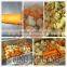 Potato Peeling Machine/potato(brush) peeling machine/potato washer
