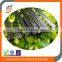 Good Fatigue Resistance Carbon Fiber Flat Strip Carbon Truss Rod