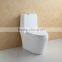 Fashionable Single Piece Water Closet