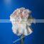 Wholesale Most Popular Good Quality Carnation Cut Fresh Flowers Carnation