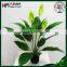 artificial peace lily flower artificial flower pot