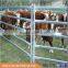 Australia hot dipped galvanized cattle panel In Farm (Factory Trade Assurance)