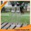 Flint 250ml Glass Ketchup Bottle With Screw Cap