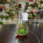 Plastic Succulent Plants Geometric Glass Terrarium Wholesale Container