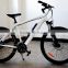 mountain electric bicycle