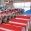 PPGI/Steel Coils/Prepainted Steel Coil/Printed Steel Sheets in Coils