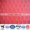 Electro Galvanized Hex Wire Netting