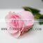 For Wedding Decoration Rose Flowers Organic High Quality Pink Flower From China