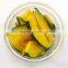 Supply VF Dried Vegetables Chips- VF Dried Pumpkin Slices for Hot Sales