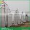 Low Cost High Tunnel Greenhouse for Tomato Growing
