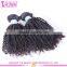 Stocks Kinky Curly Virgin Human Hair Wholesale Natural Black Brazilian Kinky Curly Remy Hair Weave