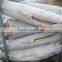 wholesale sword fish sea frozen swordfish HGT