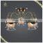 New Designs 5 Lights Indoor Decorative Light Fixture of Ceiling, Glass Flower Antique Lighting