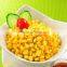 China canned sweet corn with competitive price